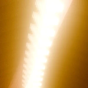 CTV5F_7_3c1.webp