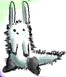 immagine-30.webp