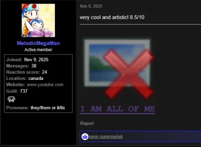 1763364138603.webp 1763364138603.webp