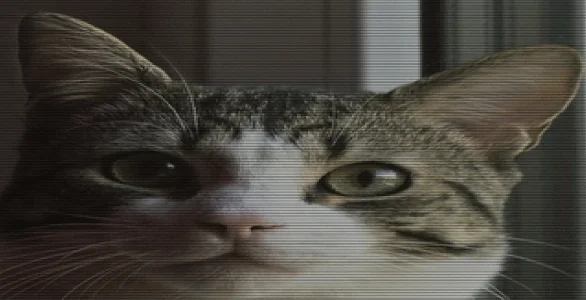 Screenshot 2025-11-24 162830.webp