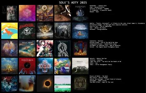 soles aoty 2025.webp