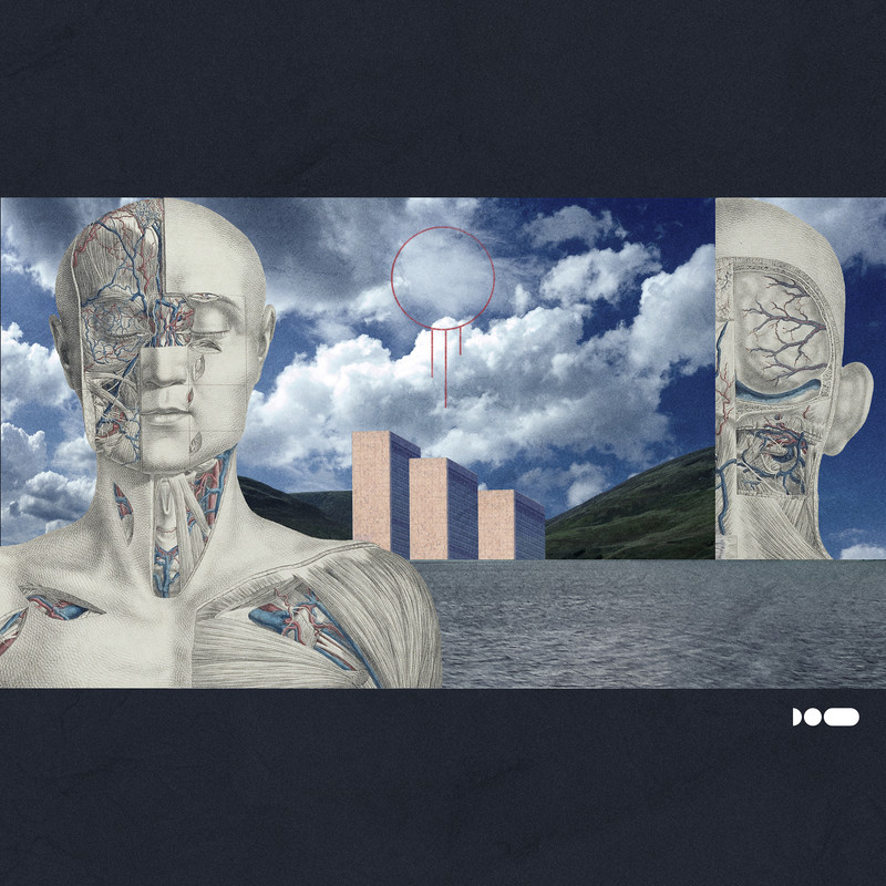 collage2.jpg